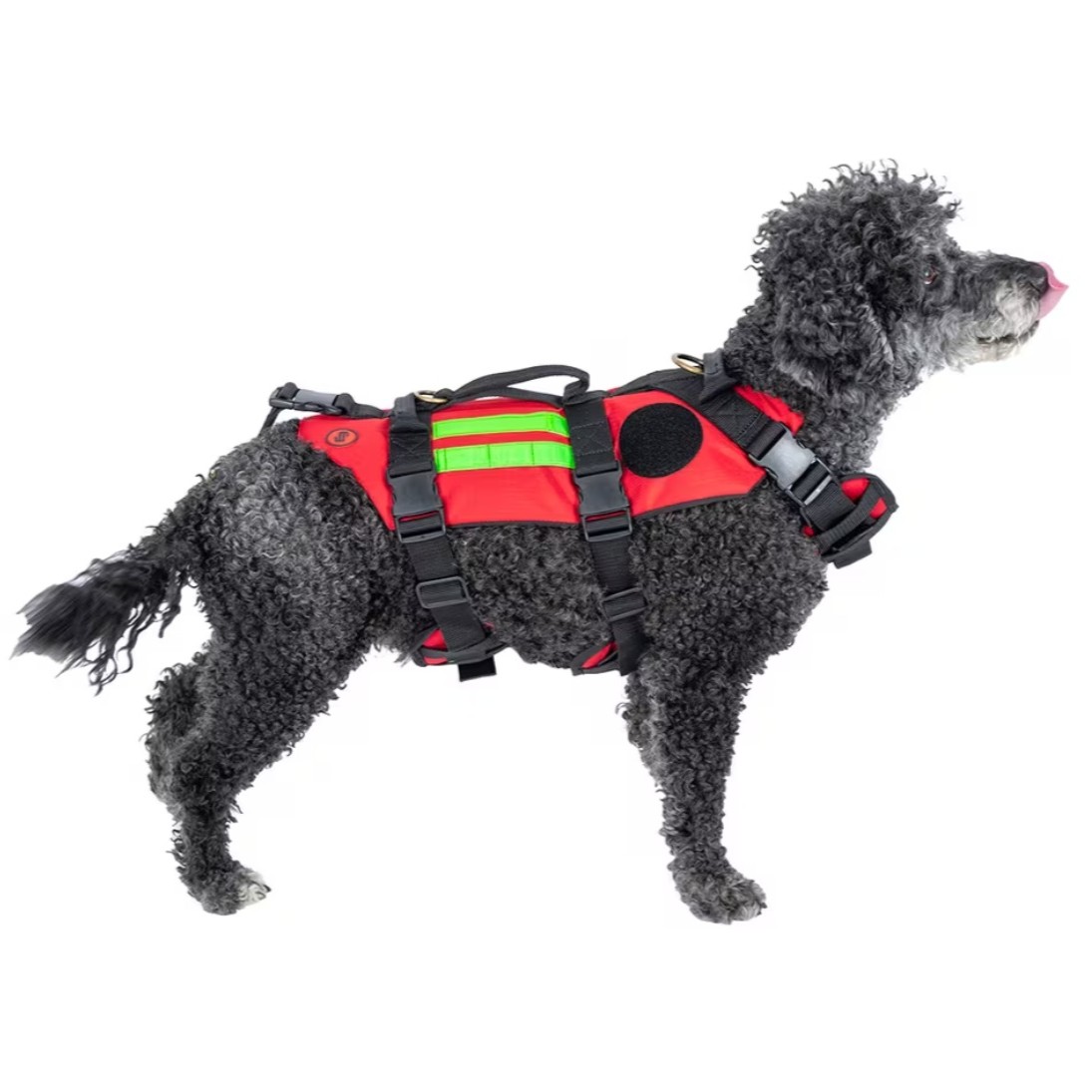 RESCUE’S DOG.Arnés de rescate para perros Talla S (Ajustable de 10Kg a 20 Kg)