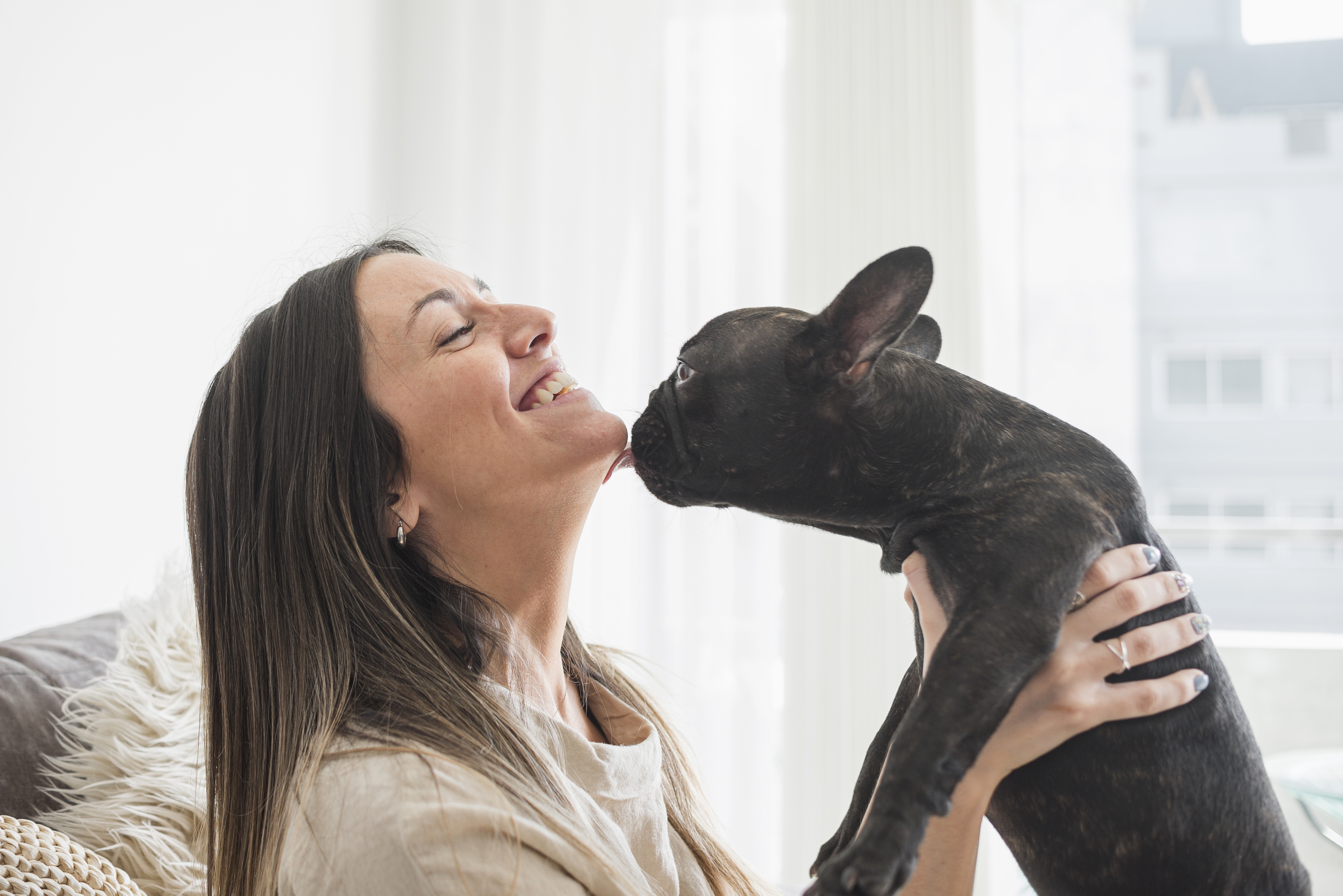 ¿Por qué te lame tu perro? Motivos