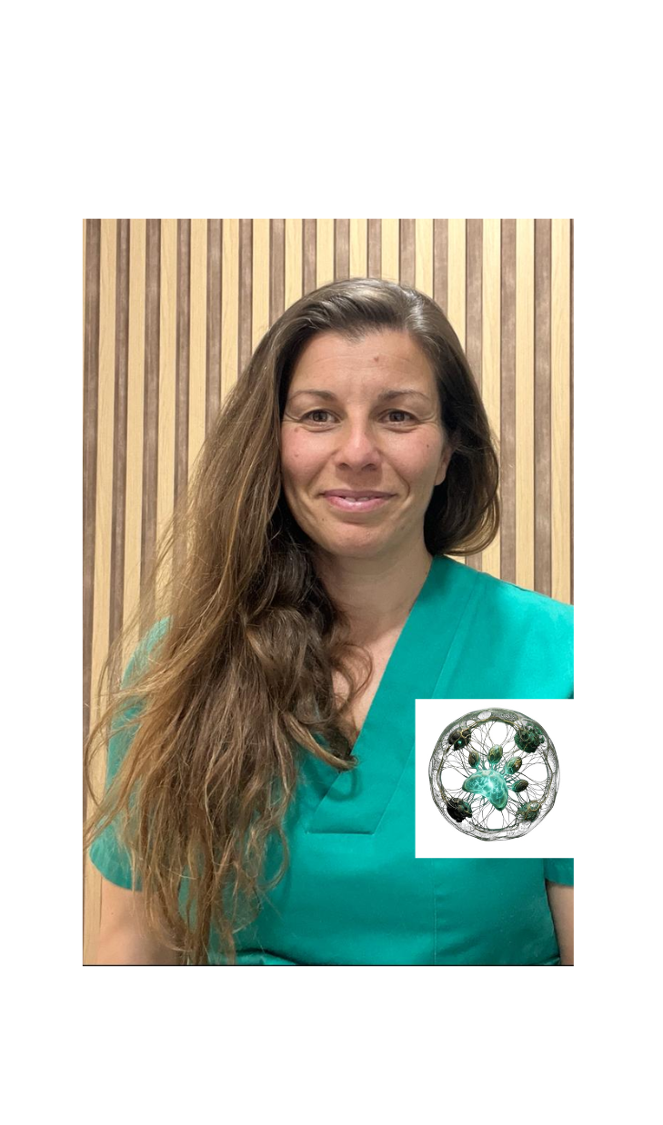Foto de perfil del médico