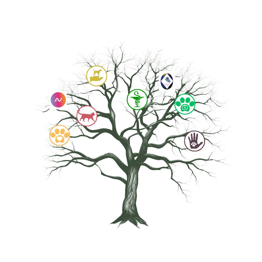 Foto de perfil del médico